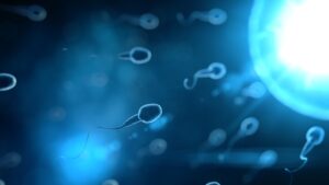 pourquoi l'infertilité masculine?