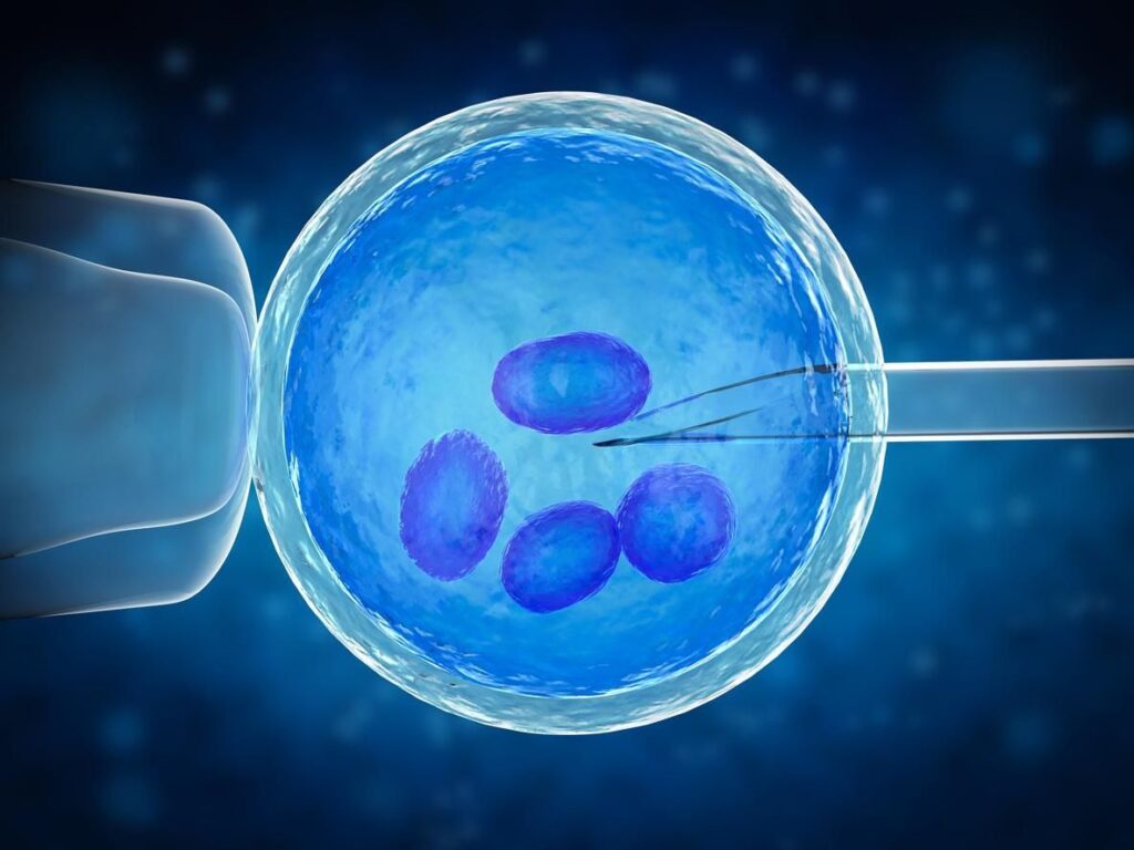 fécondation in vitro des jumeaux