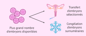 TAUX DE REUSSITE EMBRYONS CONGELES