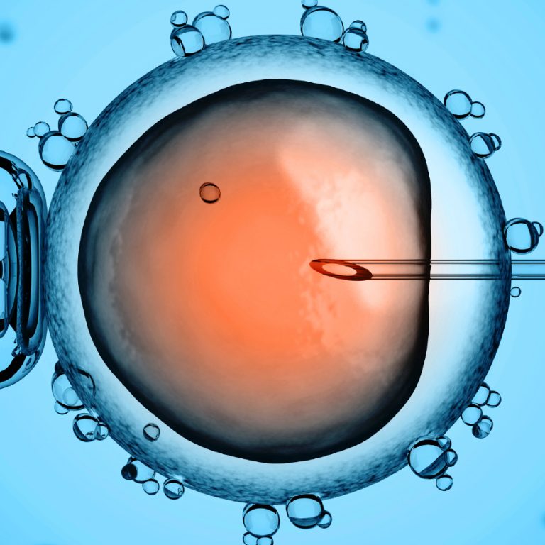 fiv-fecondation-in-vitro_eec703bd0f81e9794abefaca2c272c45491eb7e5