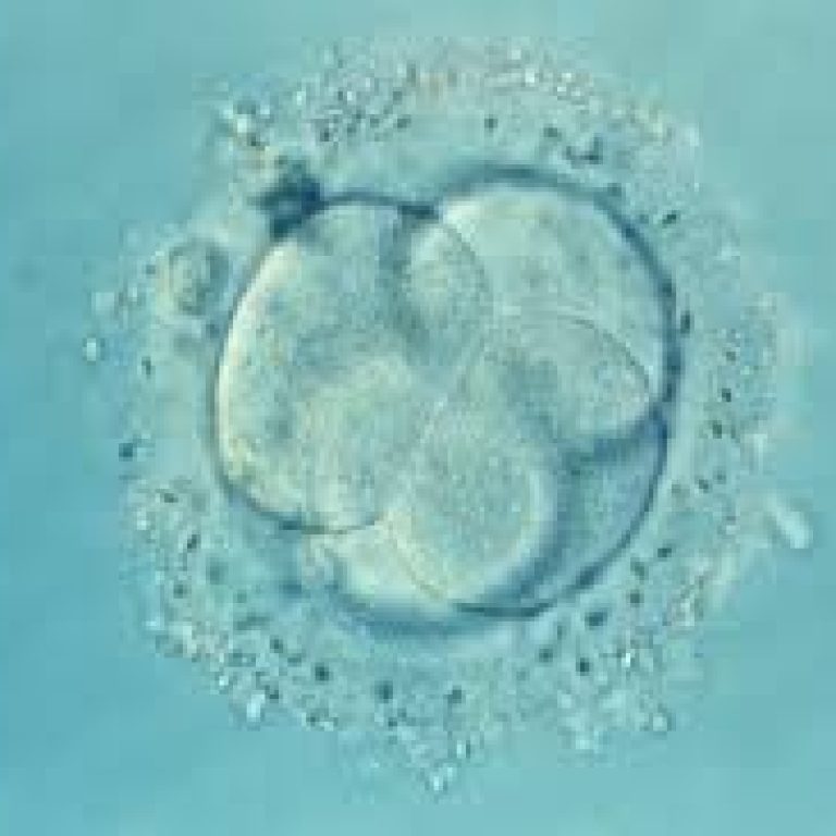 images-10