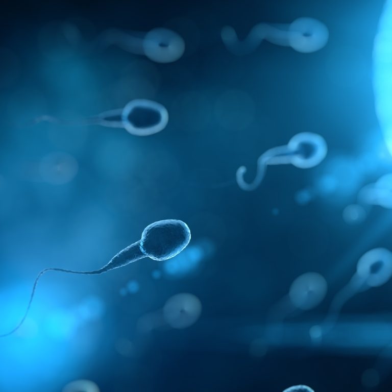 Sperm,Swim,To,Ovum,Cell,With,3d,Rendering,In,Laboratory